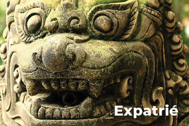 expatriate_Work plan 1