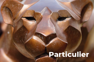 individual_Work plan 1